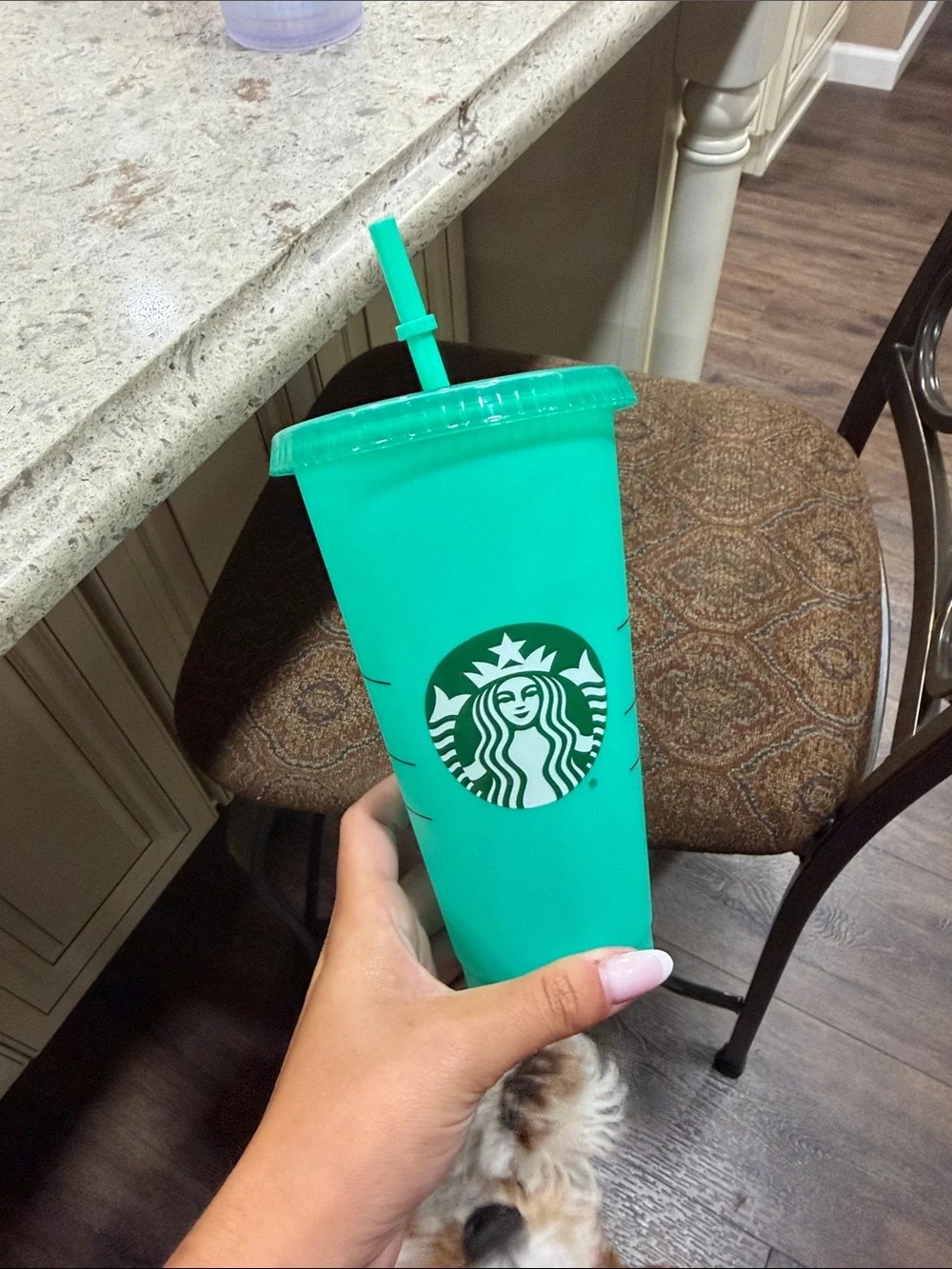 Starbucks reusable Cold cups with Straws